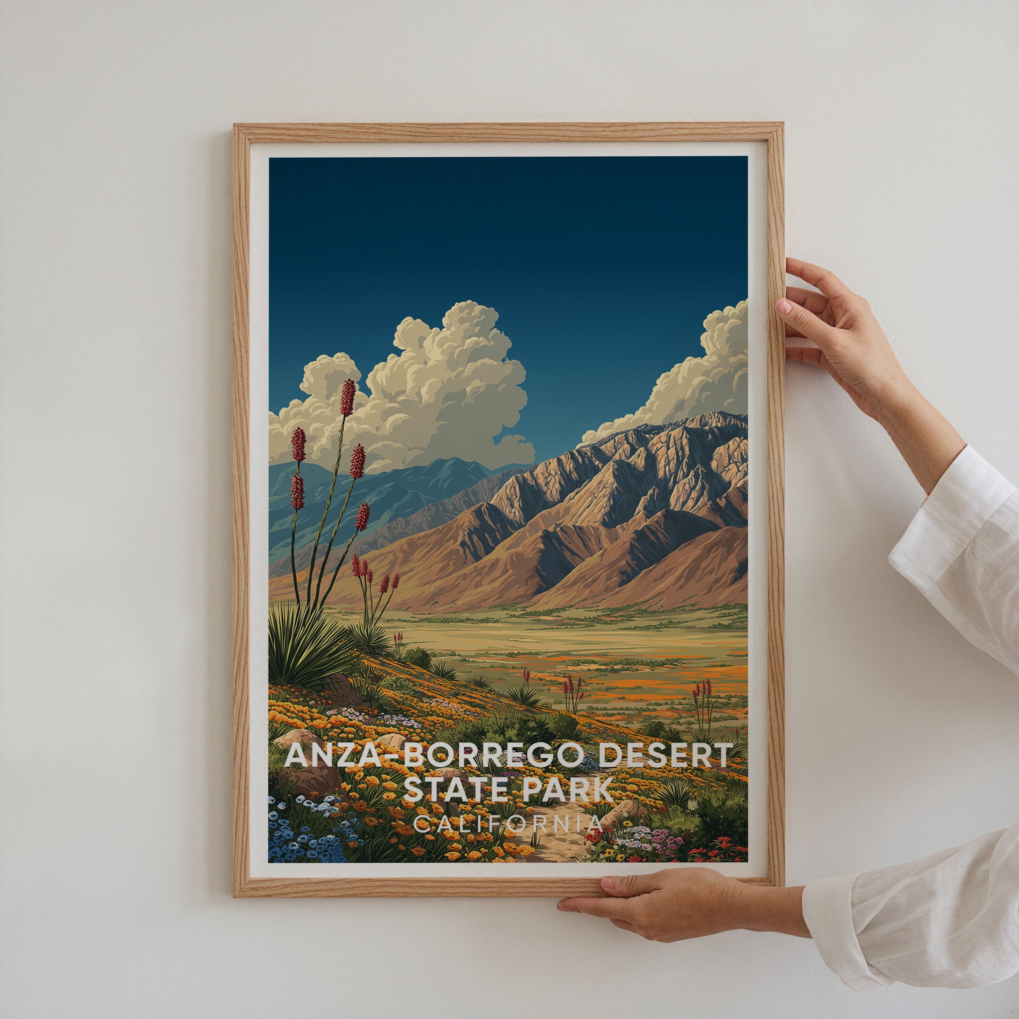 Anza-Borrego Desert State Park California