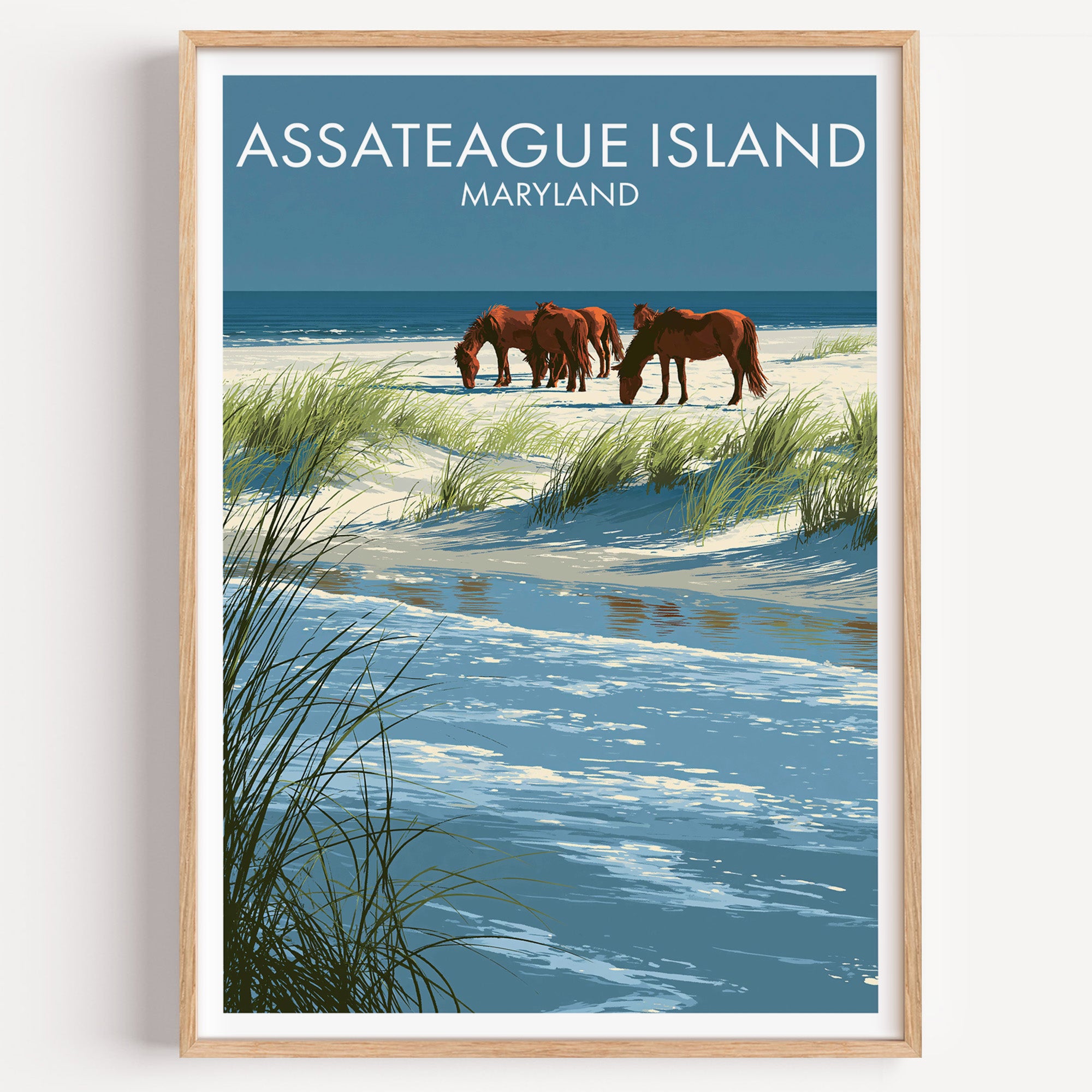 Assateague Island Maryland