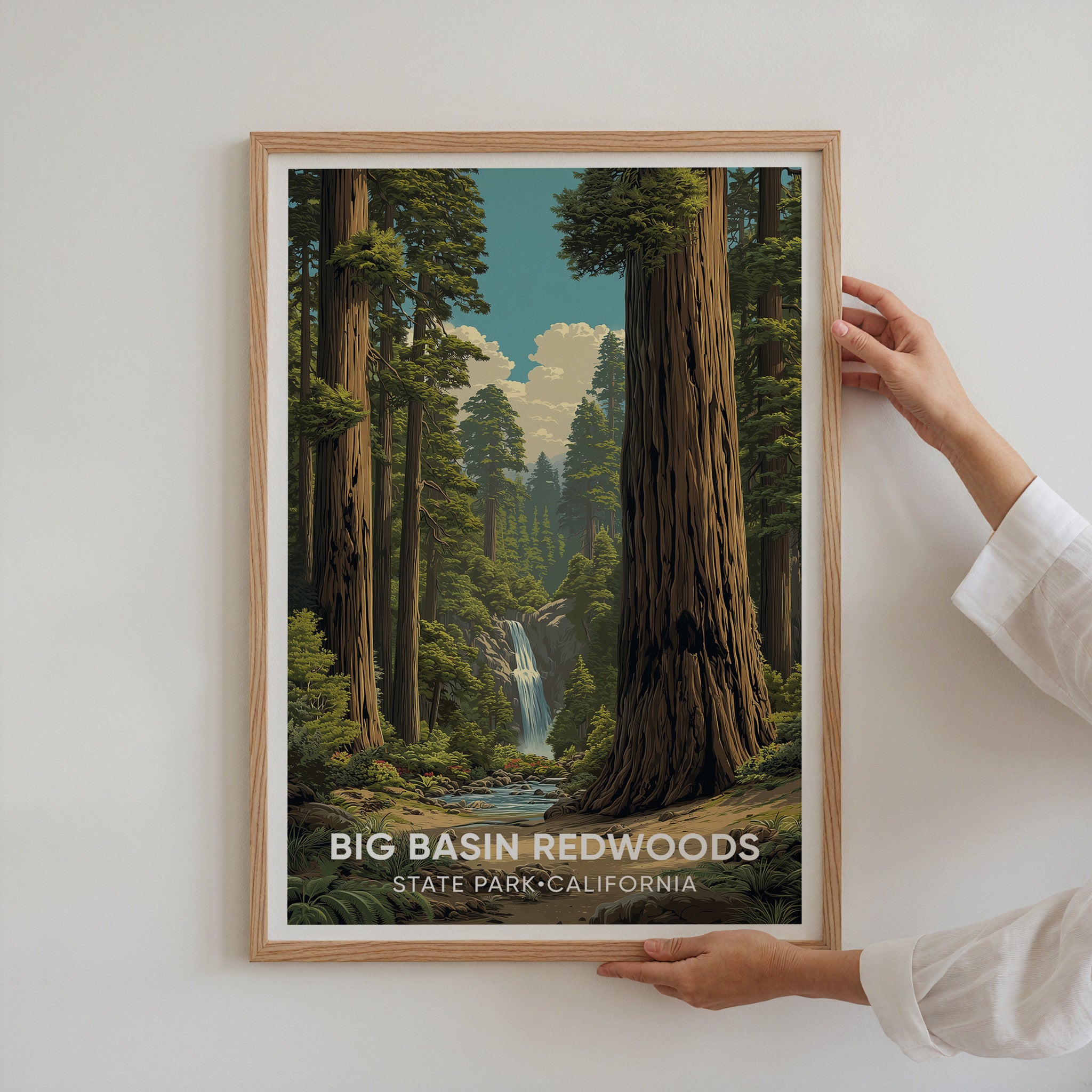 Big Basin Redwoods State Park California
