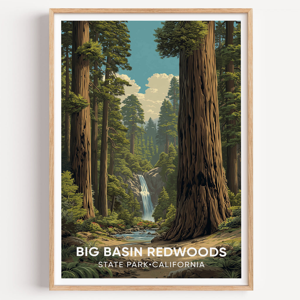 Big Basin Redwoods State Park California