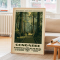 Congaree National Park Vintage WPA Art