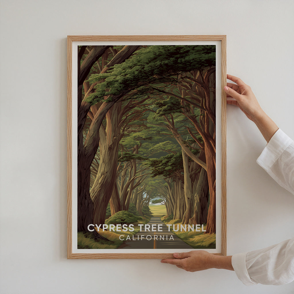 Cypress Tree Tunnel California