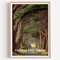 Cypress Tree Tunnel California