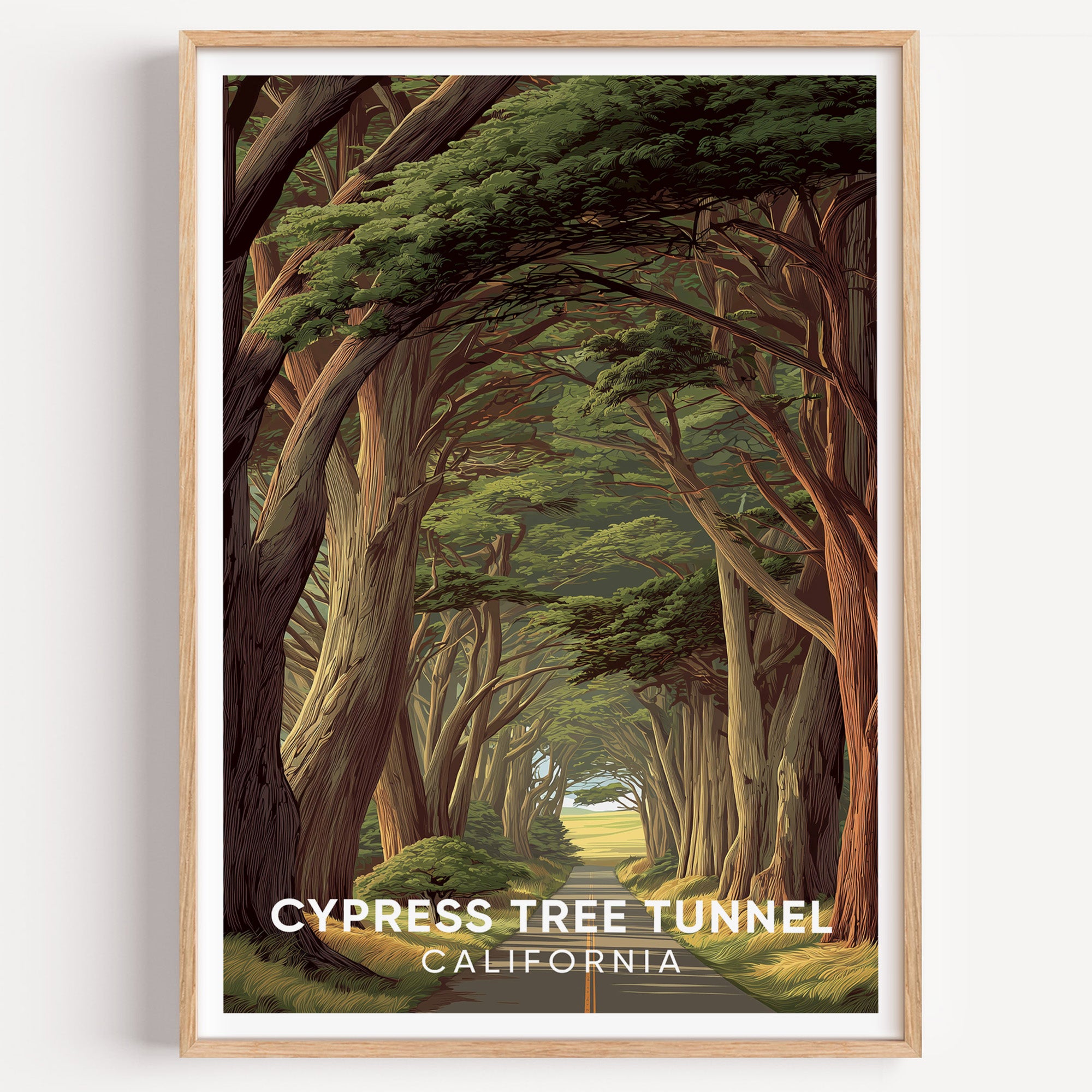 Cypress Tree Tunnel California