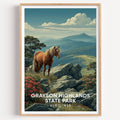 Grayson Highlands State Park Virginia