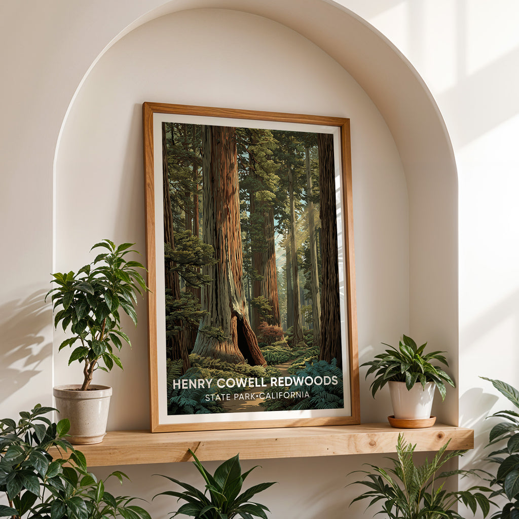 Henry Cowell Redwoods State Park California