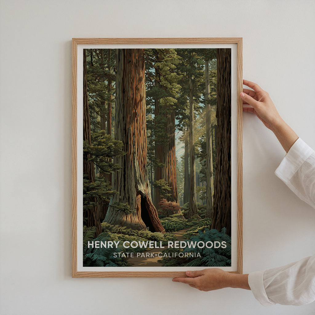 Henry Cowell Redwoods State Park California