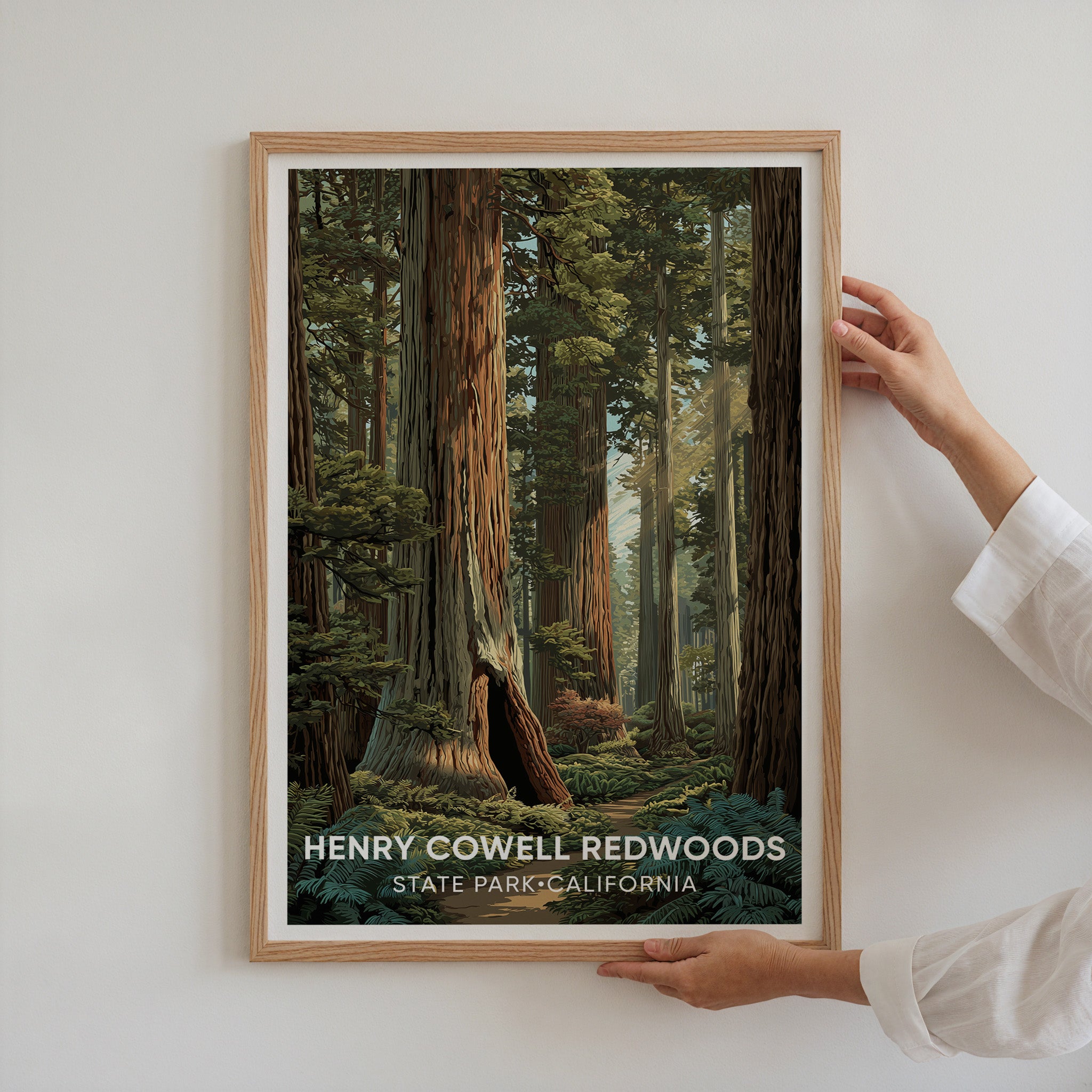 Henry Cowell Redwoods State Park California