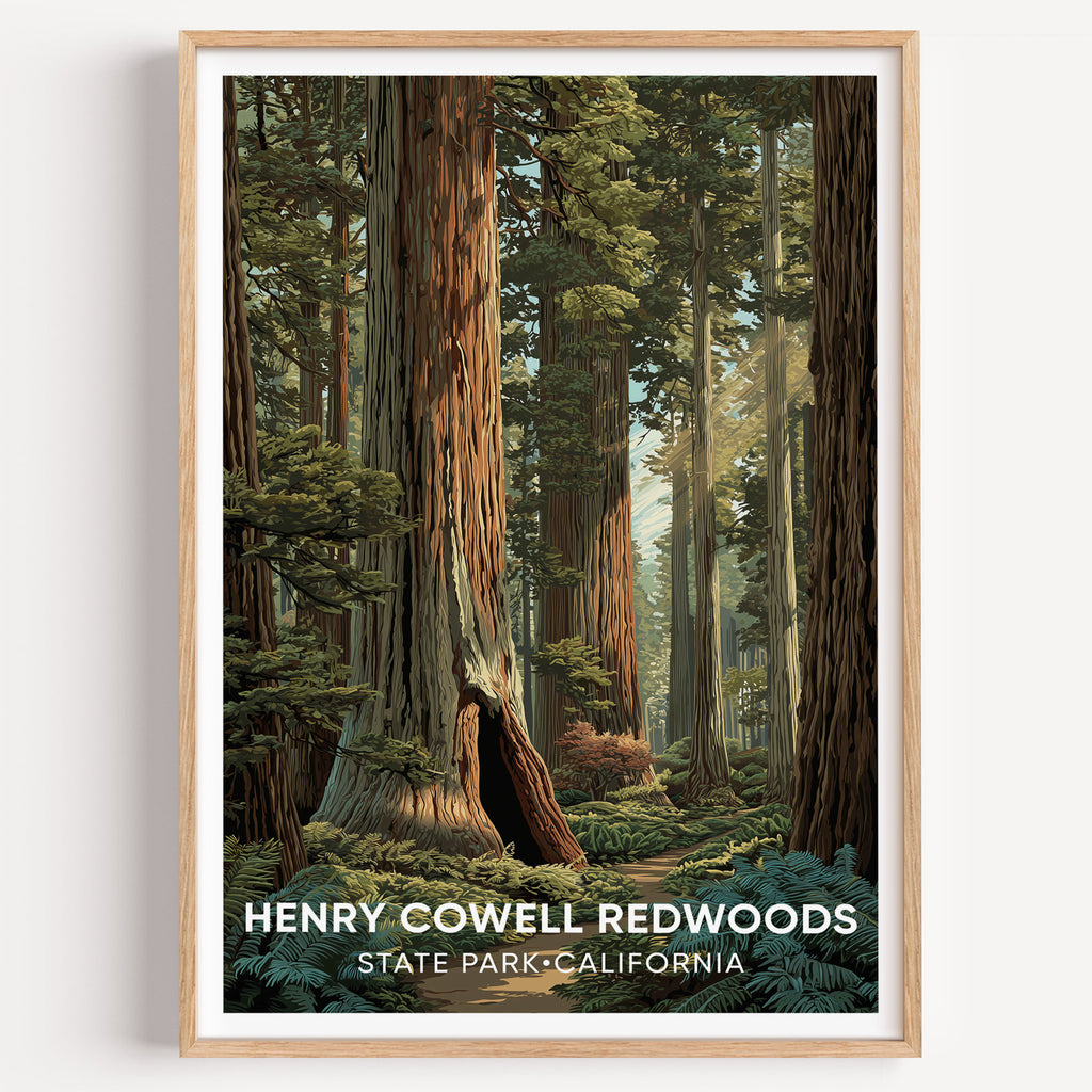 Henry Cowell Redwoods State Park California