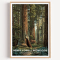 Henry Cowell Redwoods State Park California