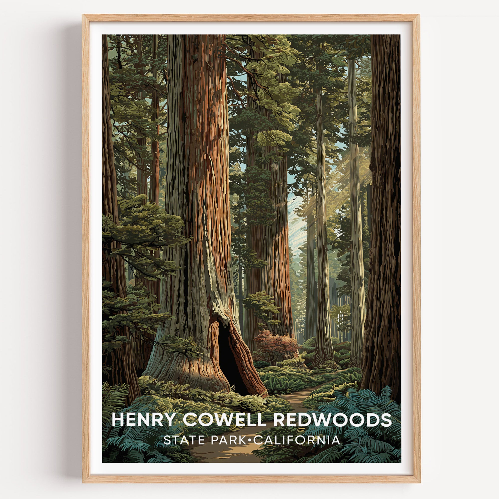 Henry Cowell Redwoods State Park California