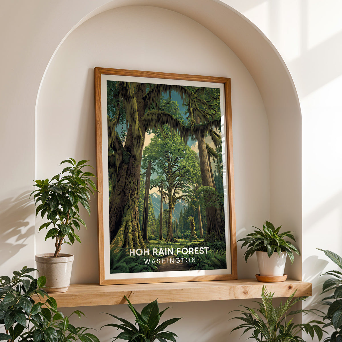 Hoh Rain Forest canvas print in oak on a shelf in a white arched alcove between plants