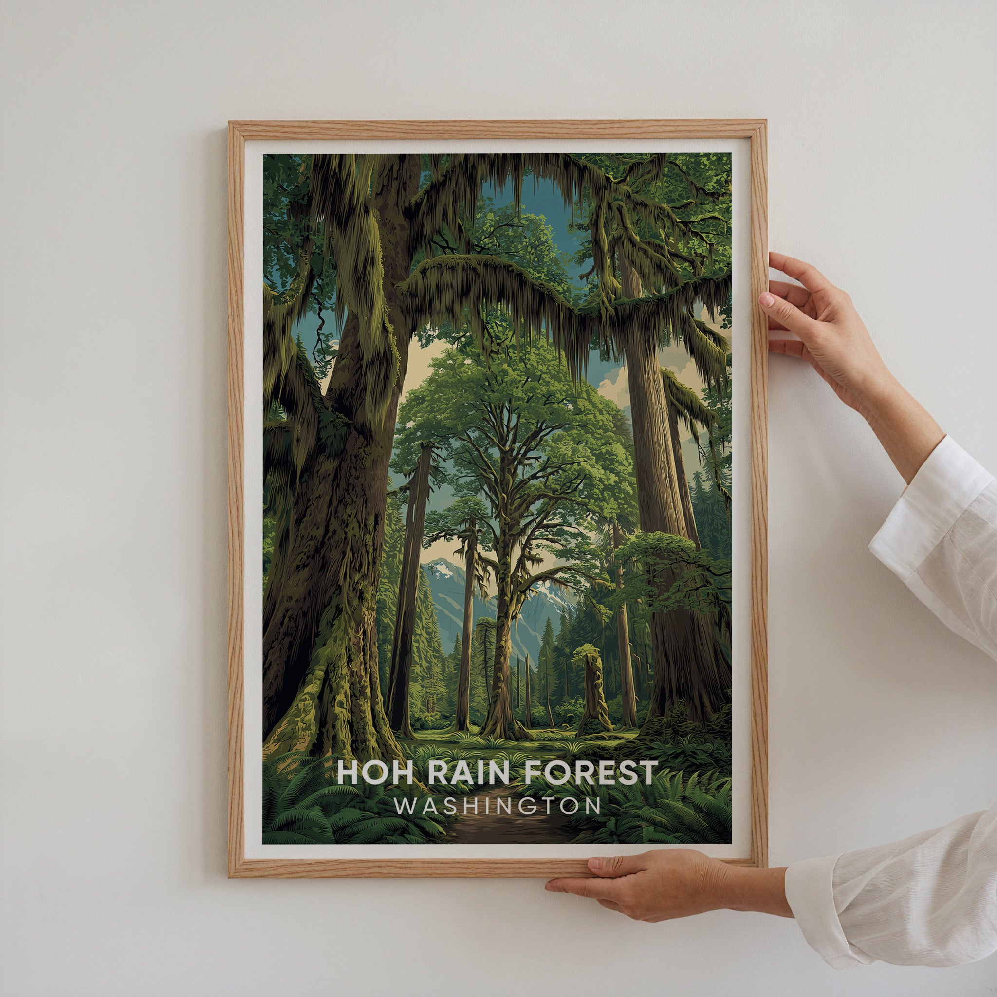 Hoh Rain Forest Washington