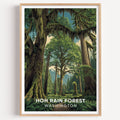 Hoh Rain Forest Washington