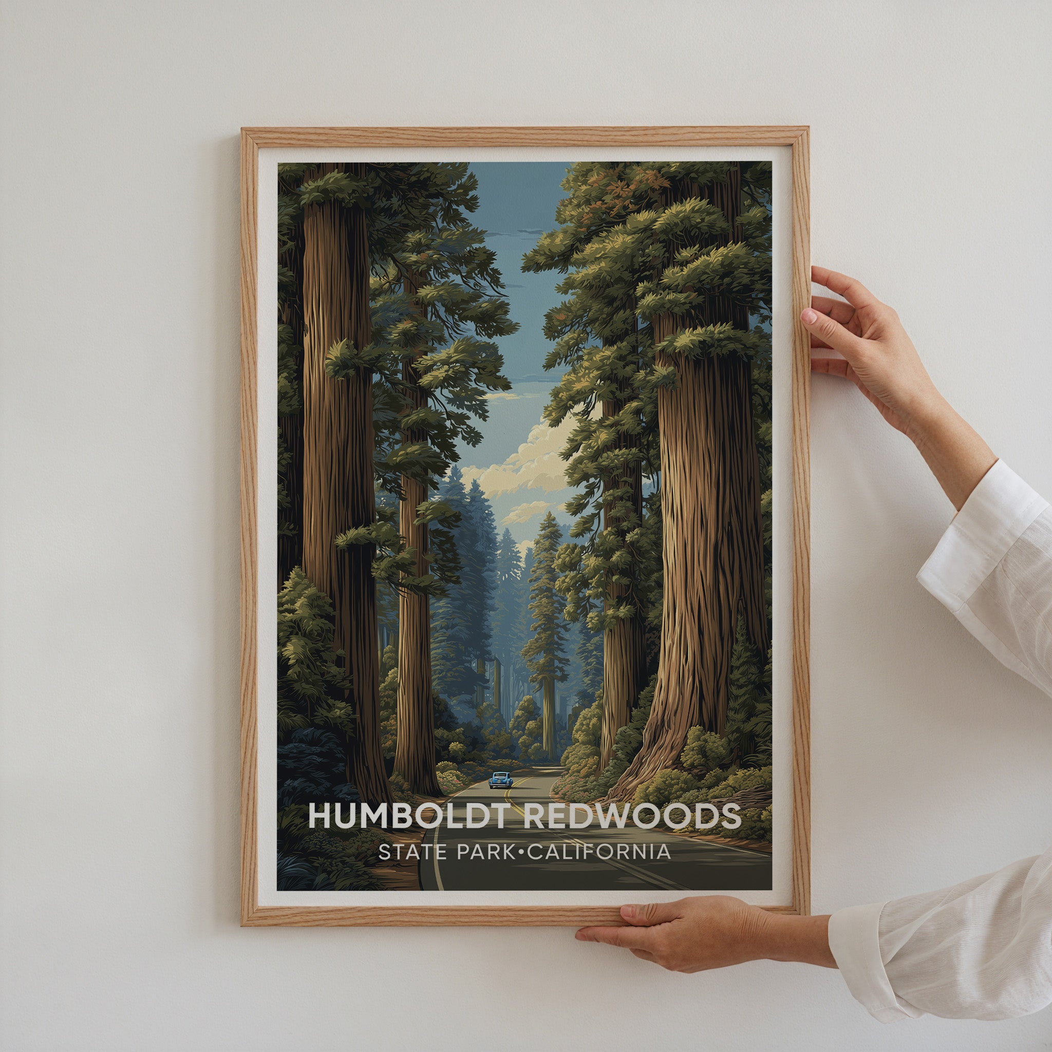 Humboldt Redwoods State Park California