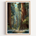 Jedediah Smith Redwoods State Park California