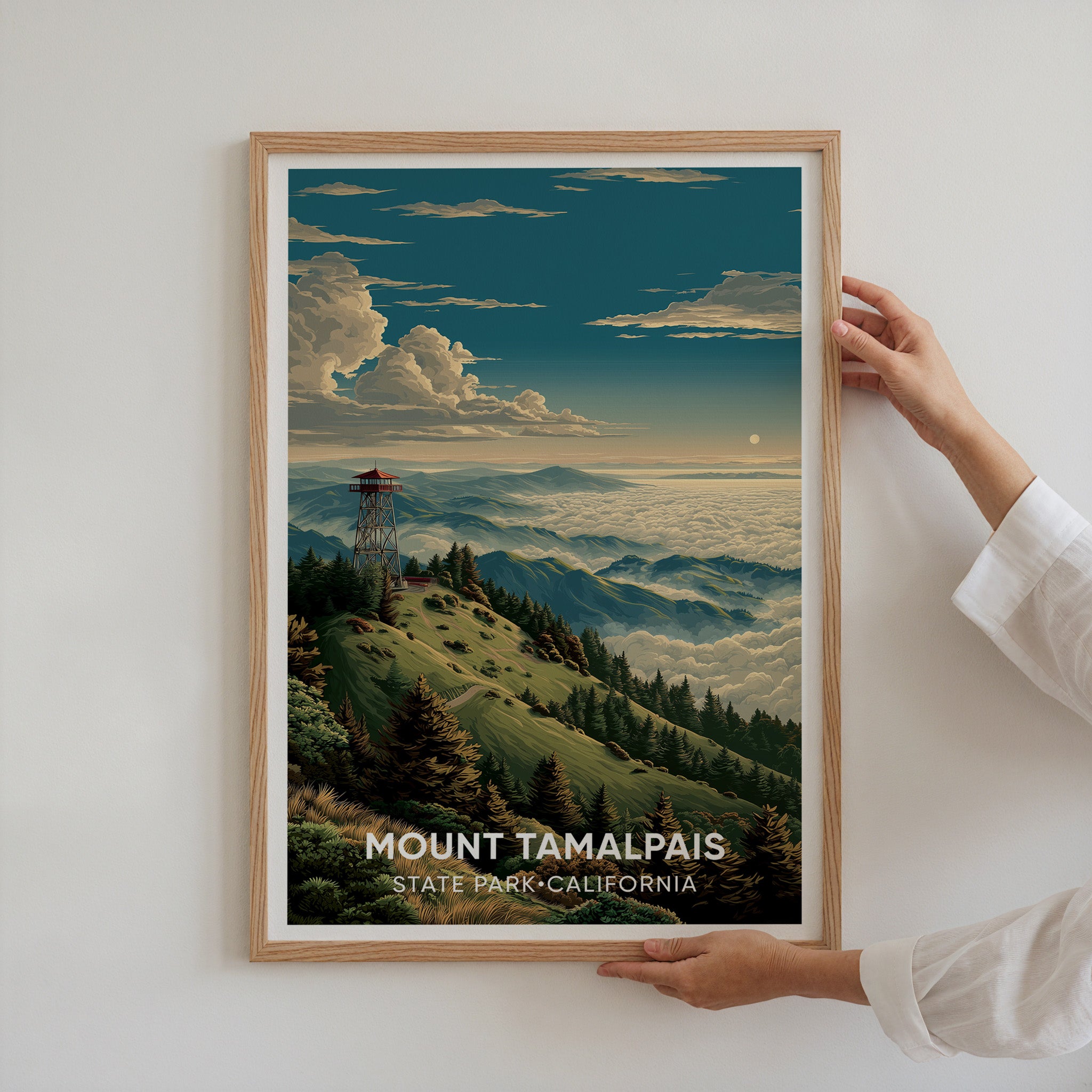 Mount Tamalpais State Park California