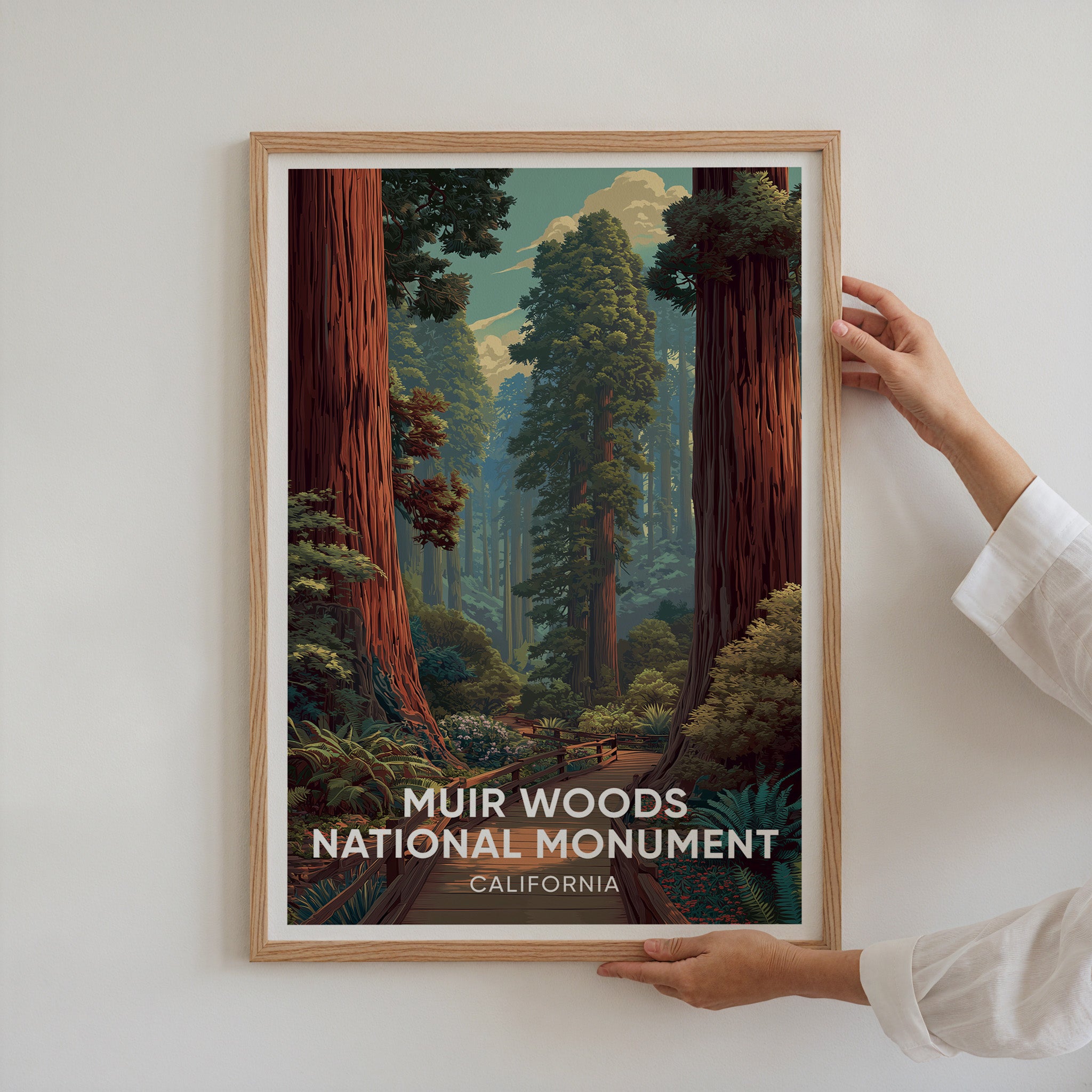 Muir Woods National Monument California