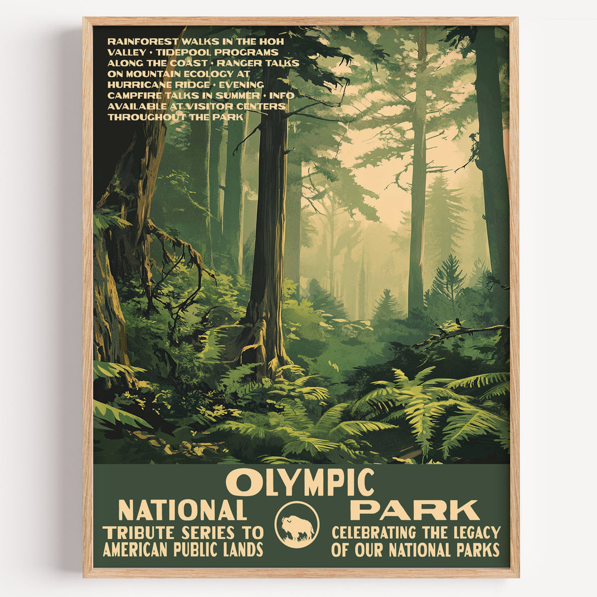 Olympic National Park wall art print in a thin wood frame, moss-hung old-growth rainforest and sword ferns