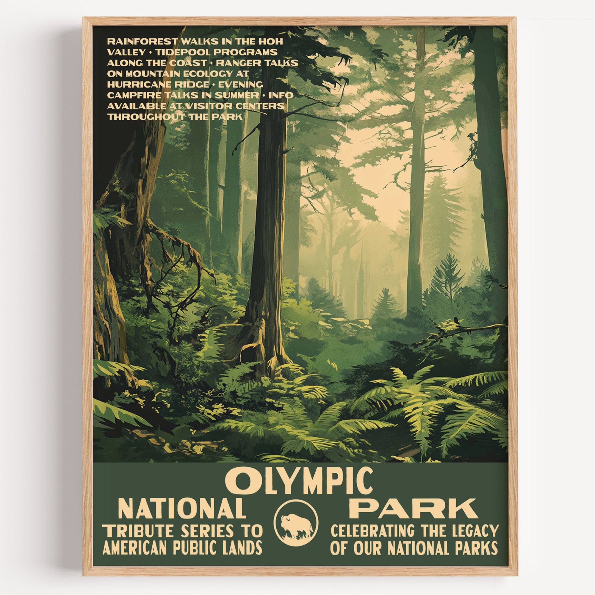 Olympic National Park wall art print in a thin wood frame, moss-hung old-growth rainforest and sword ferns