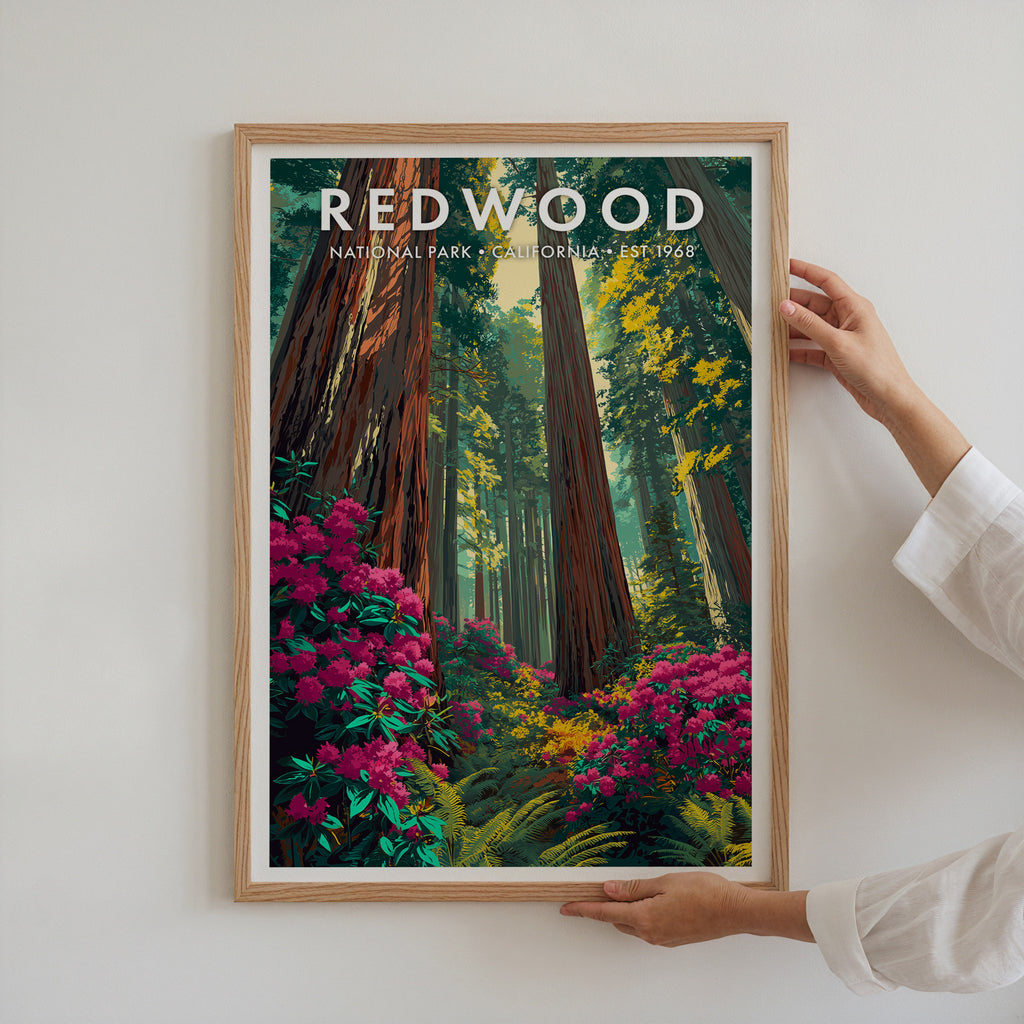 Retro Redwood National Park Print
