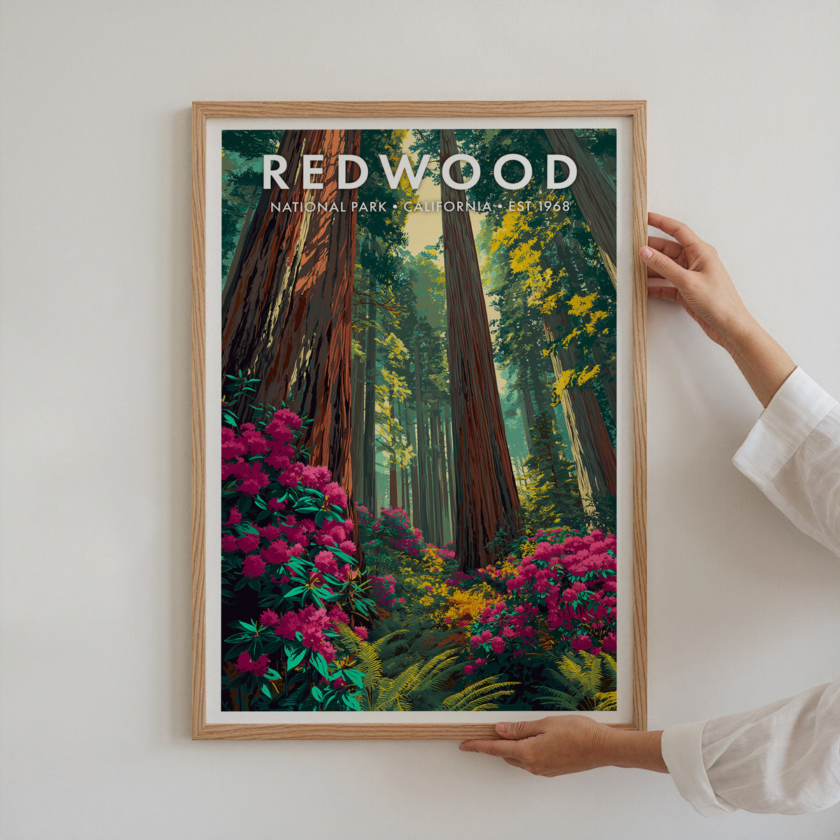 Redwood National Park mid-century modern art print in a light oak frame being hung on a bright white wall