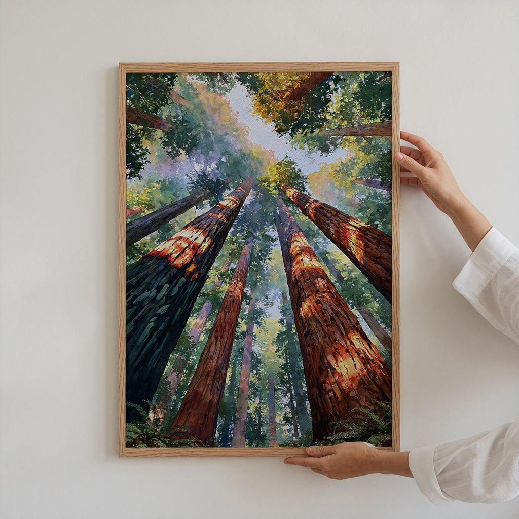 Redwood National Park Watercolor Art