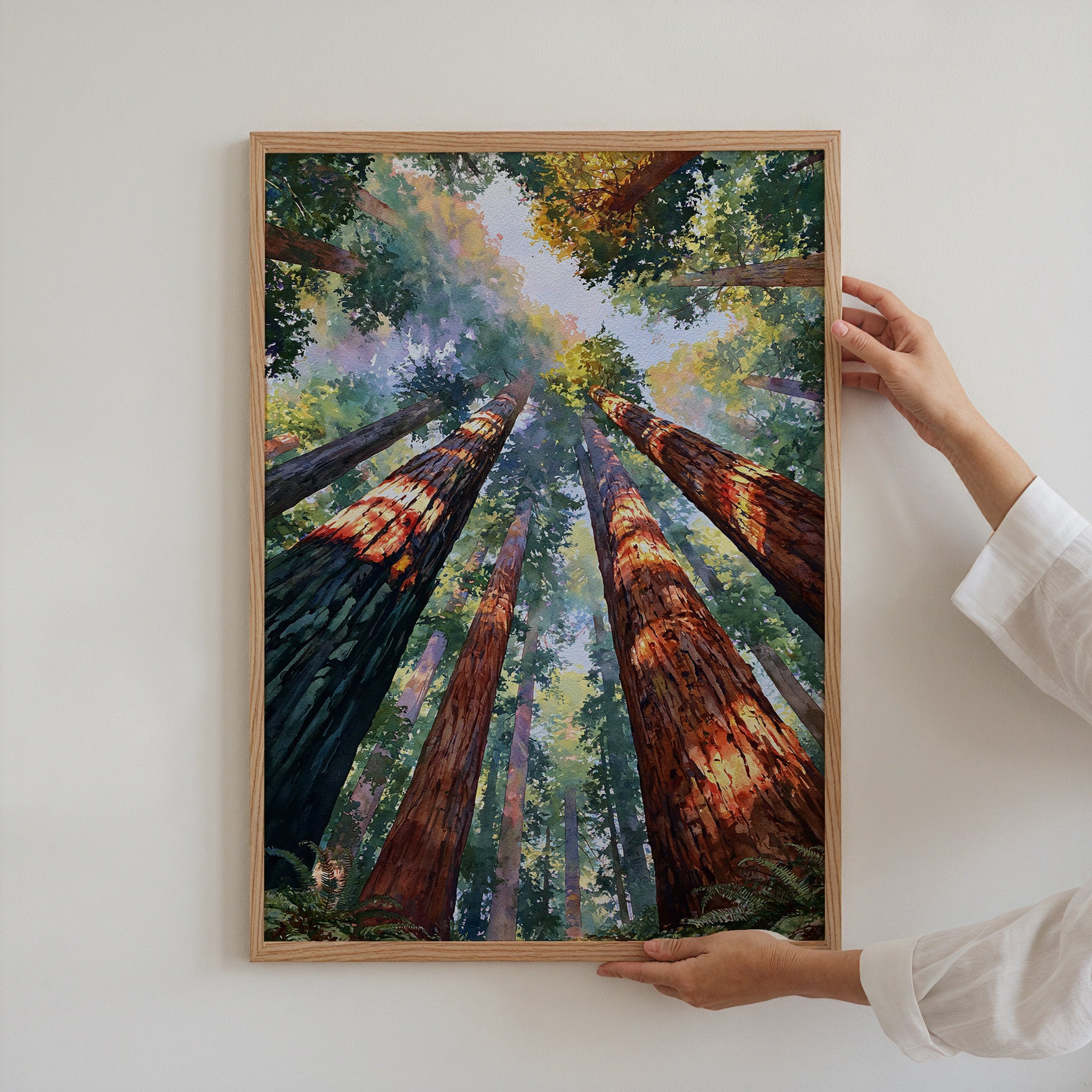 Redwood National Park Watercolor Art