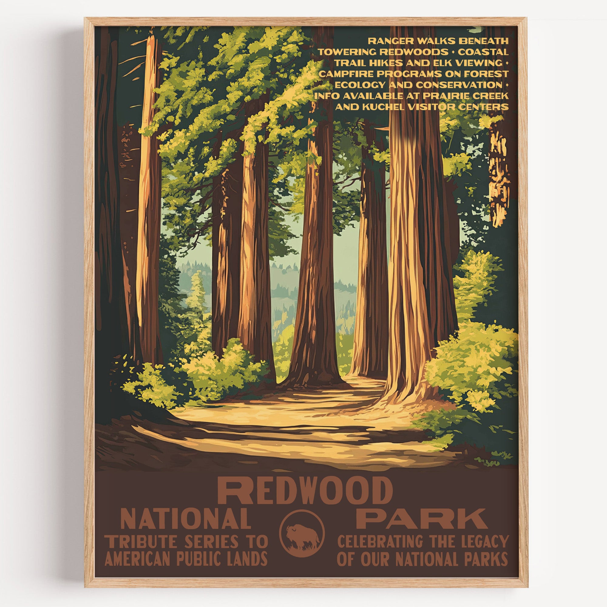 Redwood National Park wall art print in a thin wood frame, towering redwood trunks receding into the forest
