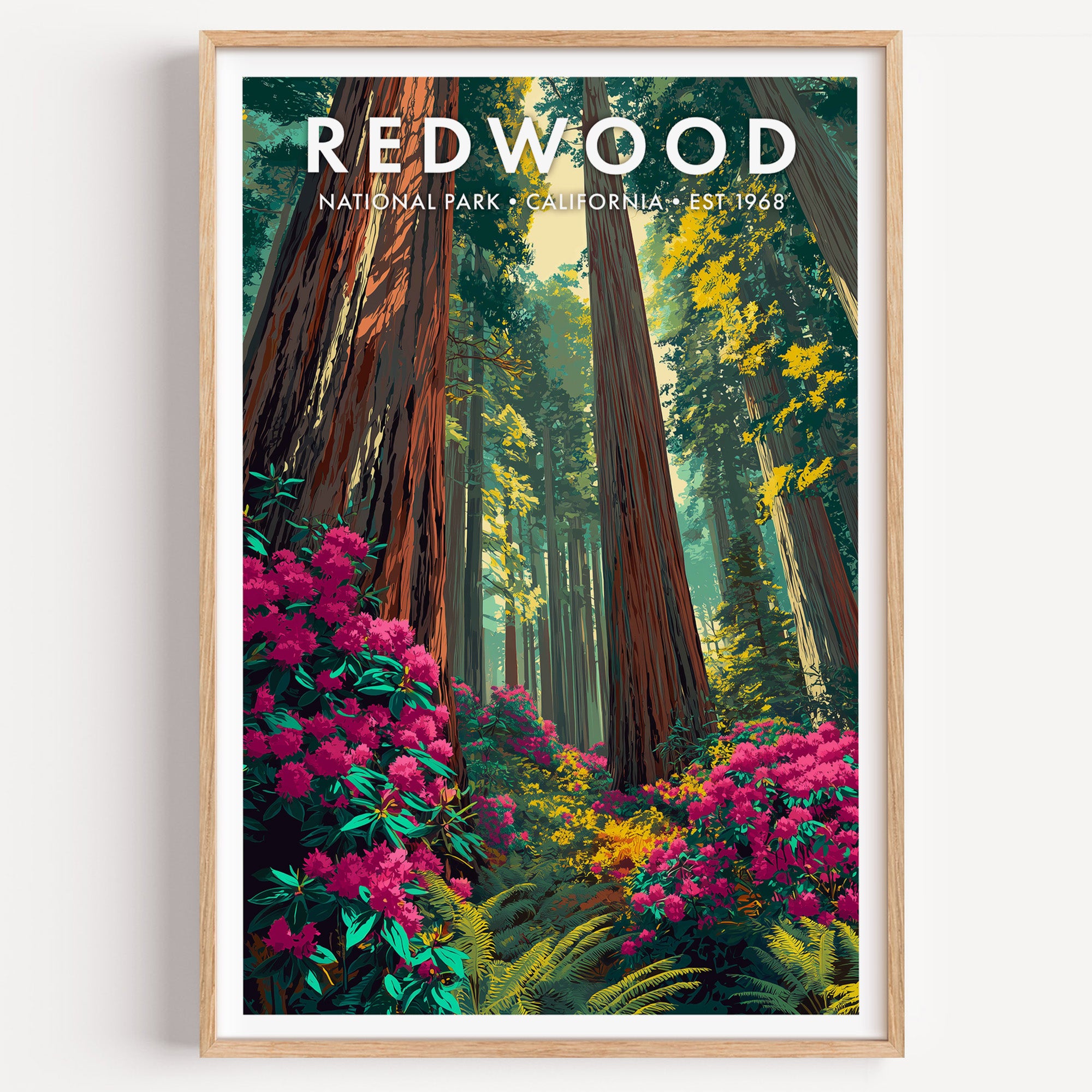Redwood National Park mid-century modern art print — the fluted trunks of coast redwoods disappearing upward into fog-lit green