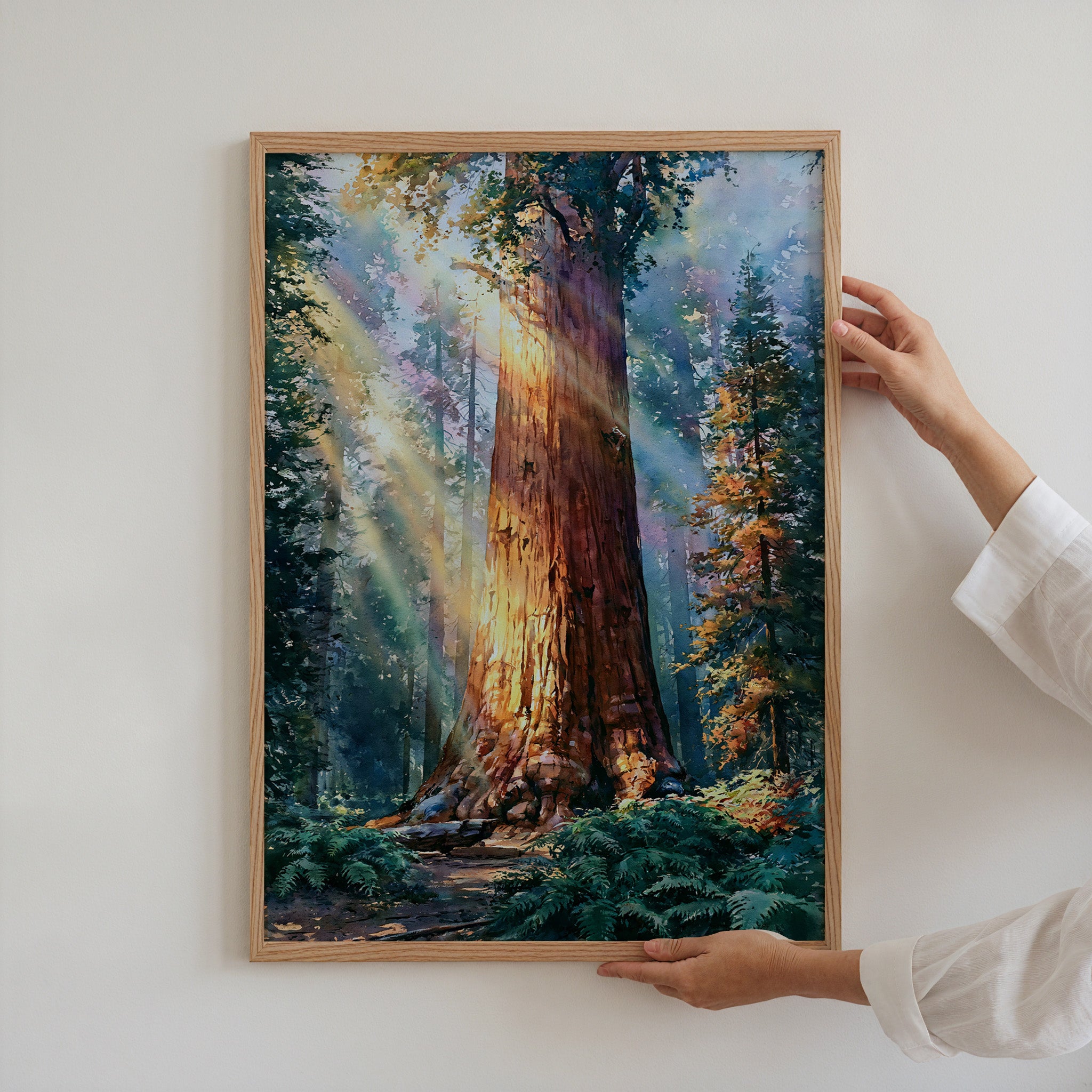 Sequoia National Park Watercolor Art