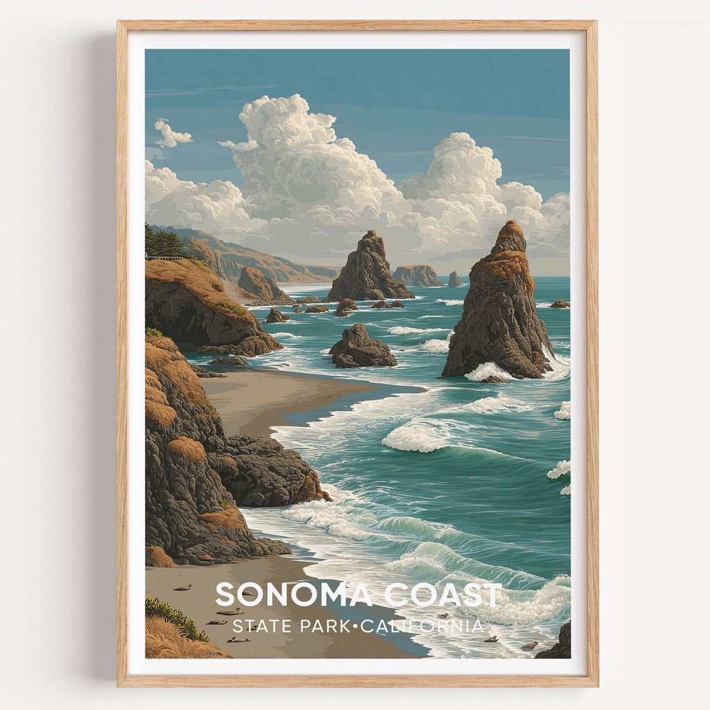 Sonoma Coast State Park California