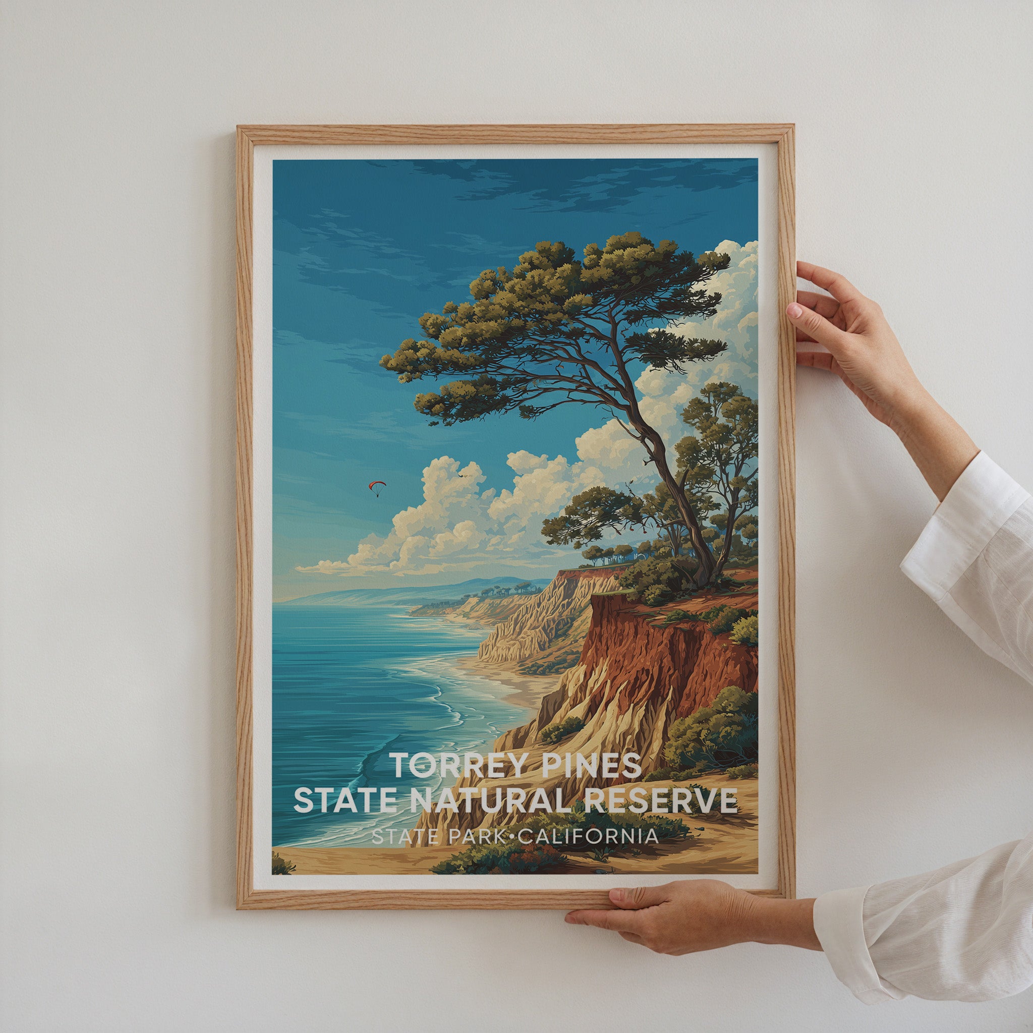 Torrey Pines State Natural Reserve California