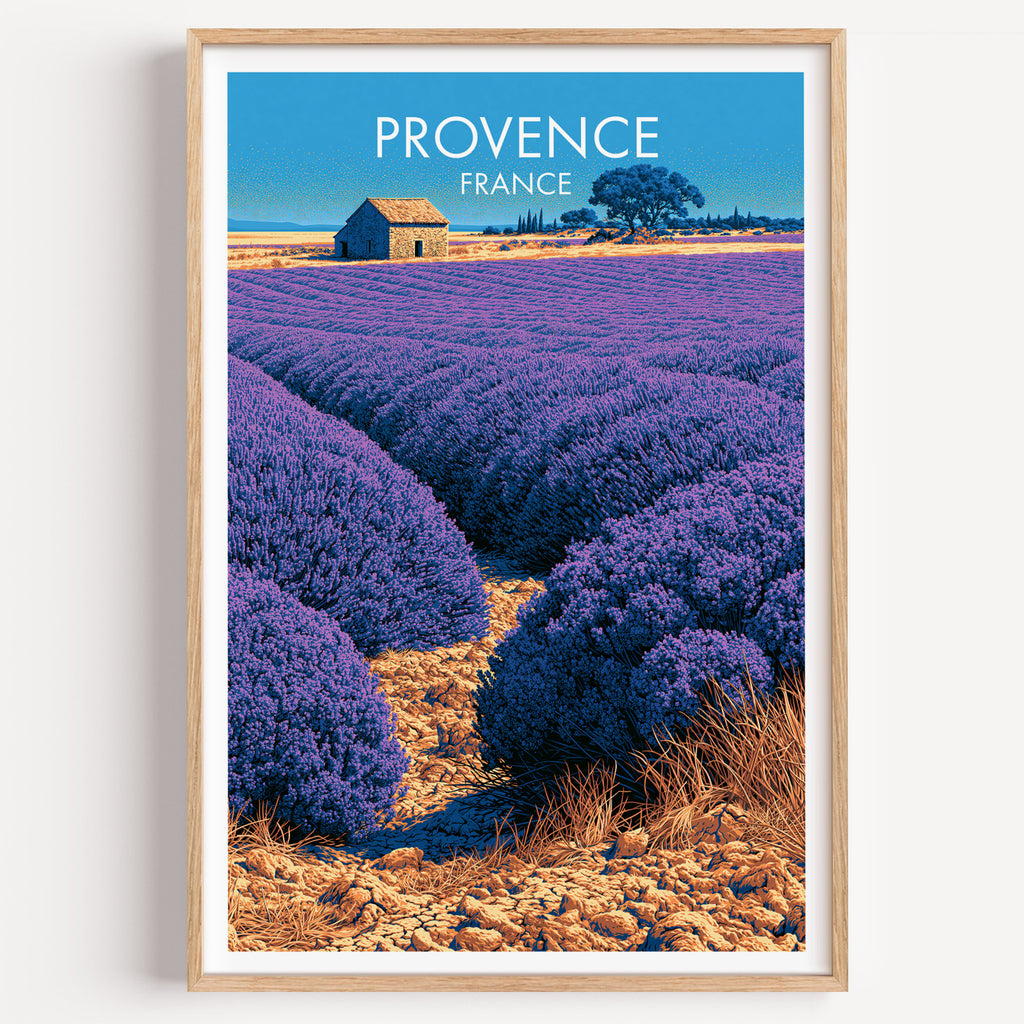Valensole Provence Frankreich