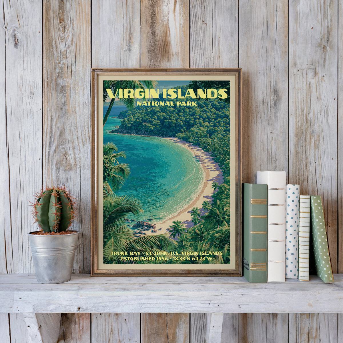 Trunk Bay beach print in a slim gold frame on a whitewashed plank wall beside a cactus and pastel books