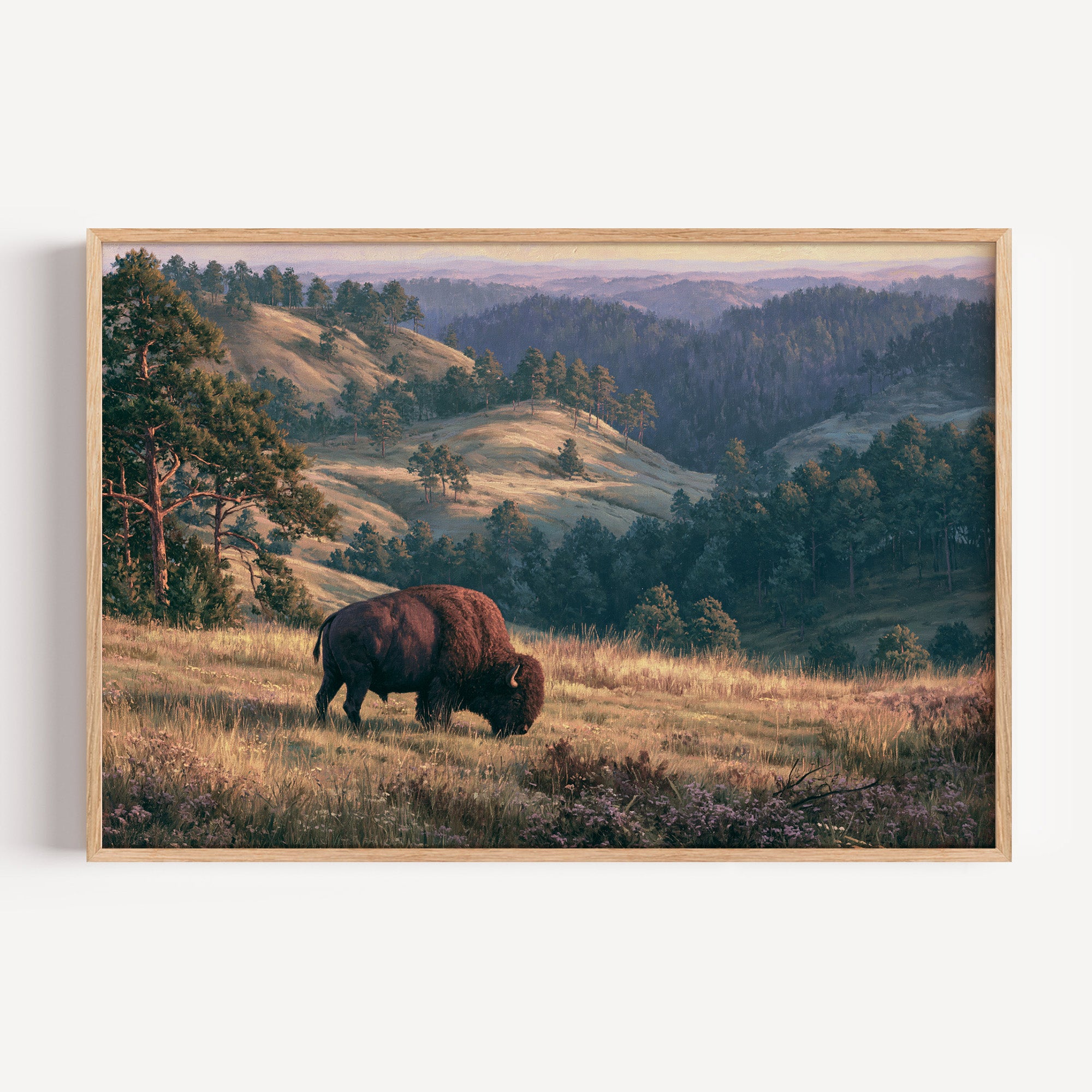 Wind Cave National Park classical oil painting print in an oak frame: a bison on the prairie