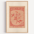 Arkansas state flower stamp print in terracotta on blush, light oak frame on a plain white wall