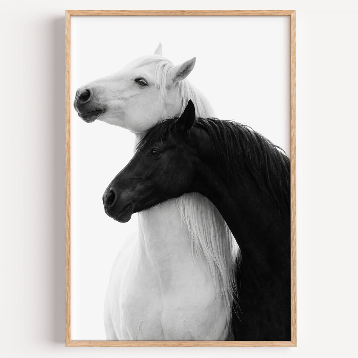 White horse and black horse necks crossed print in a light oak frame on a plain white wall
