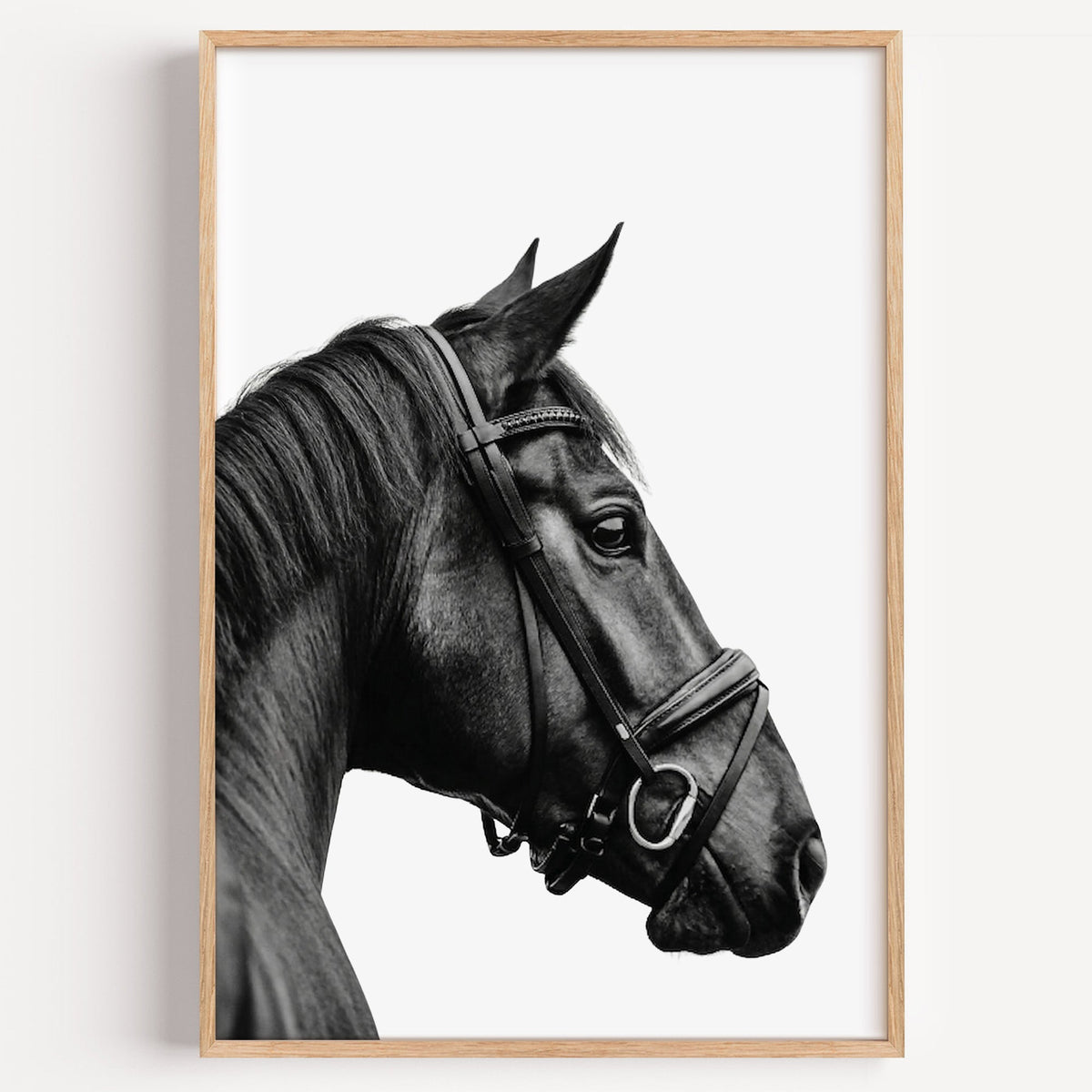 Black horse head in leather bridle profile print in a light oak frame on a plain white wall