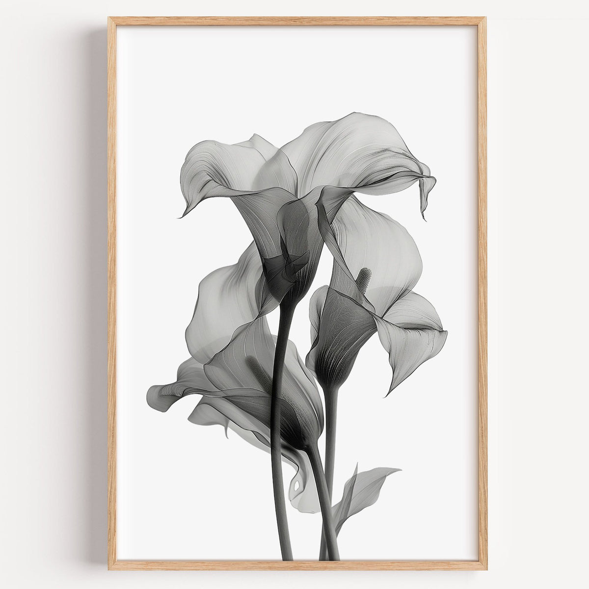 Translucent calla lily X-ray flowers print in a light oak frame on a plain white wall