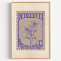 Colorado state flower stamp print in periwinkle on warm grey, light oak frame on a plain white wall