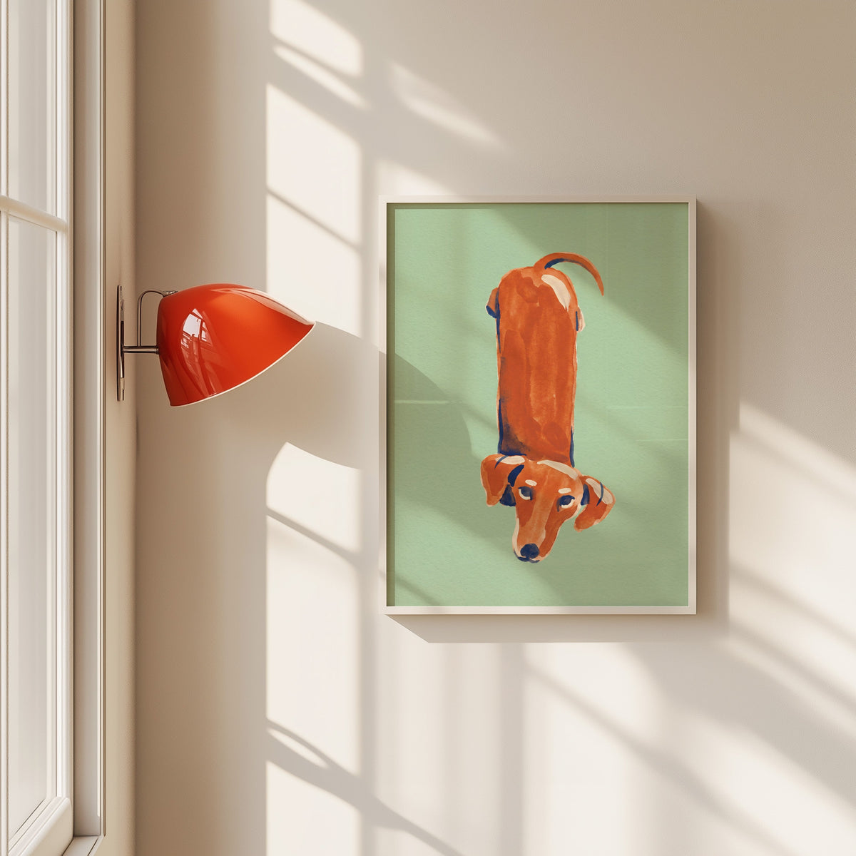 Dachshund from above print in a white frame beside a red wall sconce