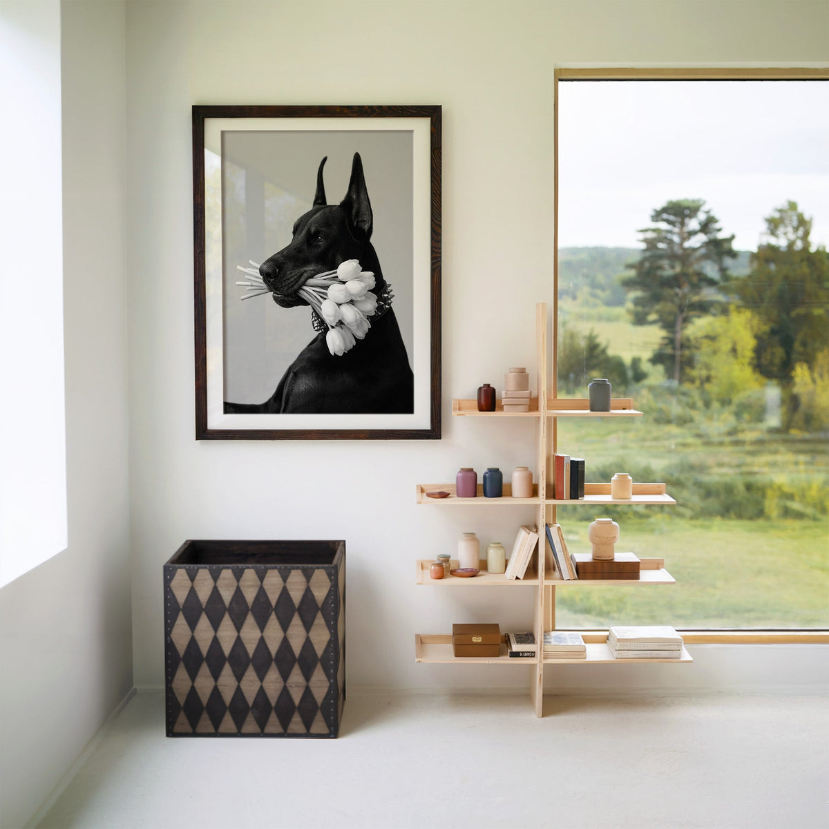 Black Doberman holding white tulips print in a walnut frame with a white mat beside wooden shelves and a garden window
