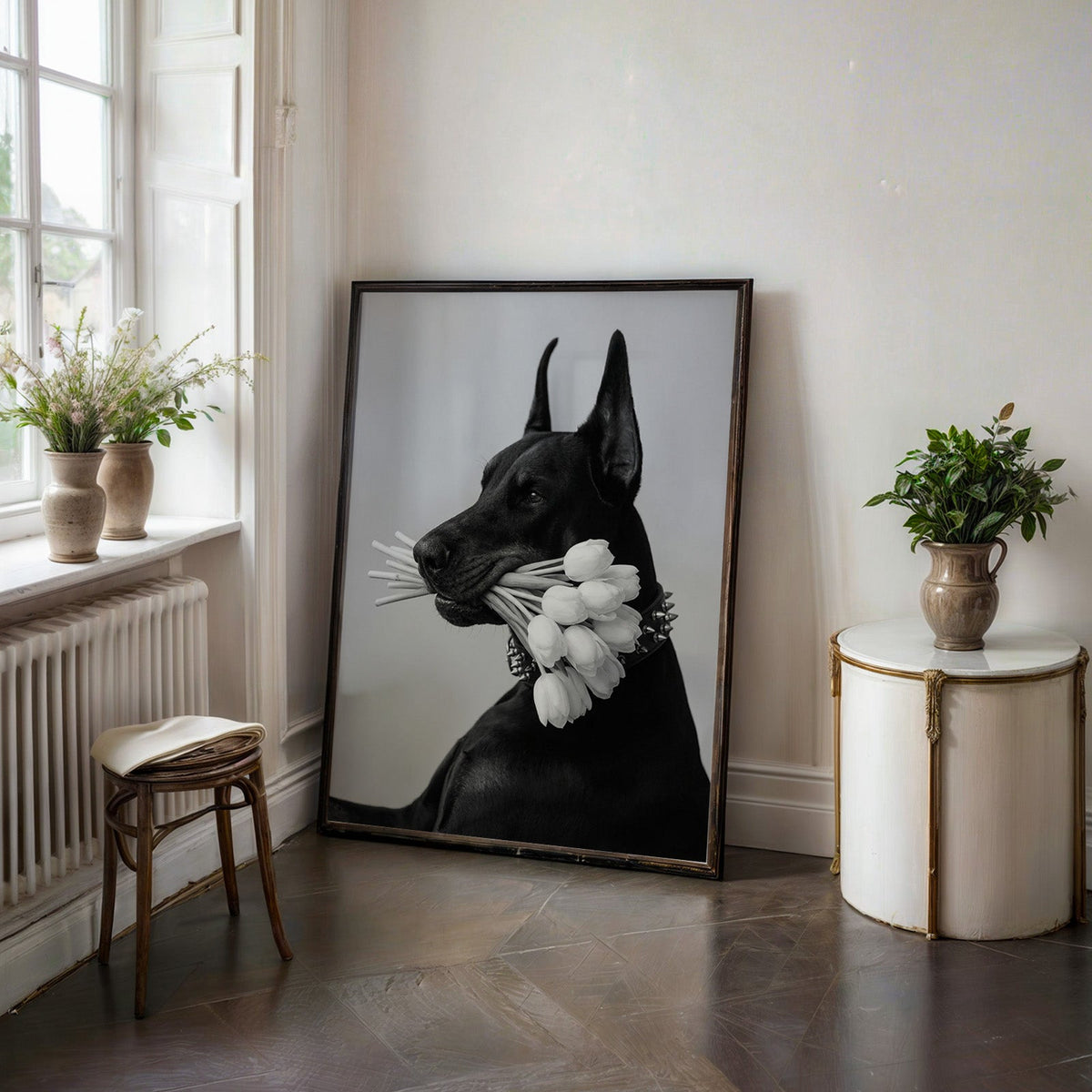 Black Doberman holding white tulips print in a black frame on a dark stone floor beside a white side table