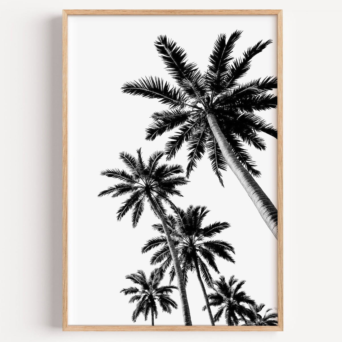 Feather leaf palms on a white sky print in a light oak frame on a plain white wall