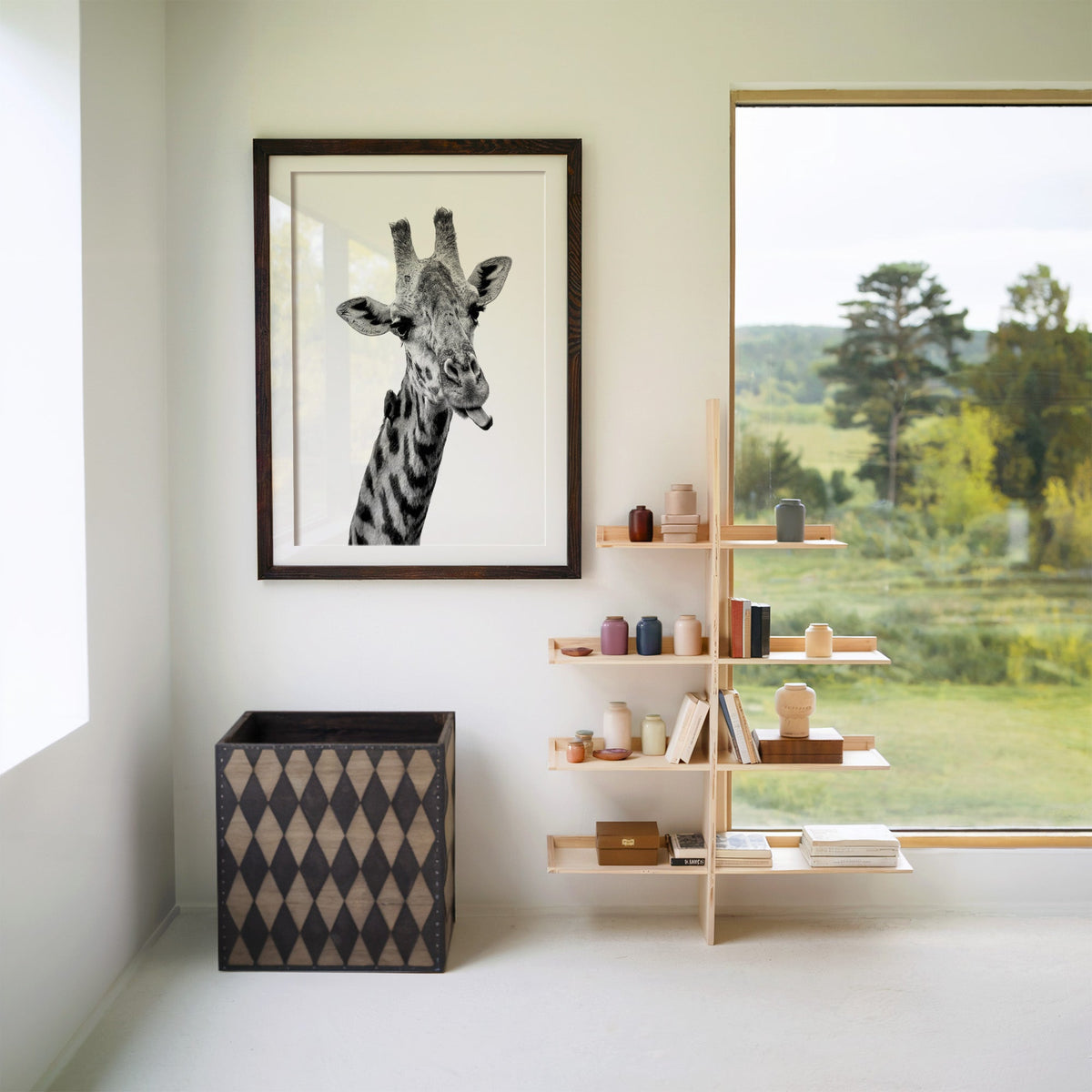 Giraffe sticking out tongue with small bird print in a walnut frame with a white mat beside wooden shelves and a garden window