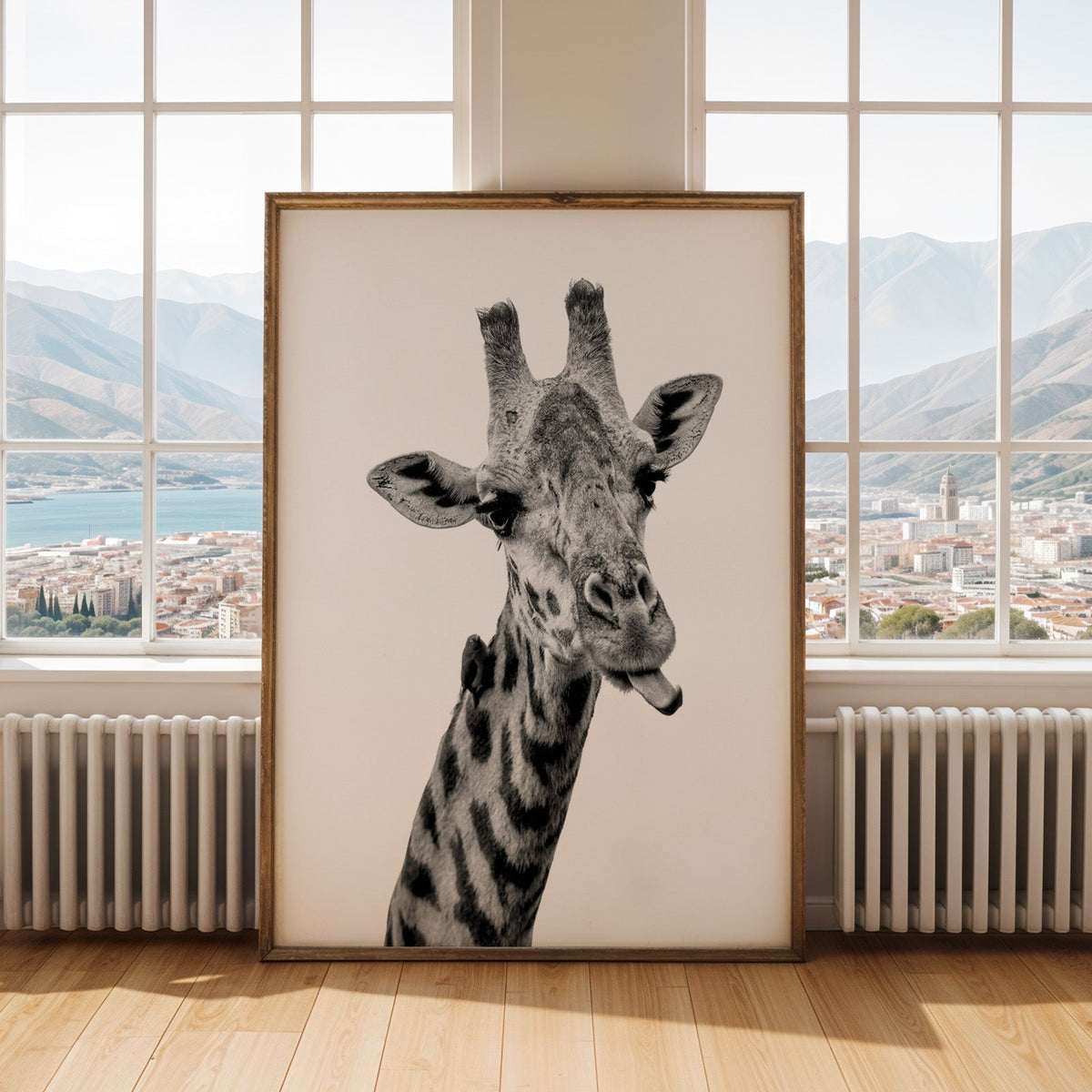 Giraffe sticking out tongue with small bird print shown in an antique gold frame by tall windows with a sea view