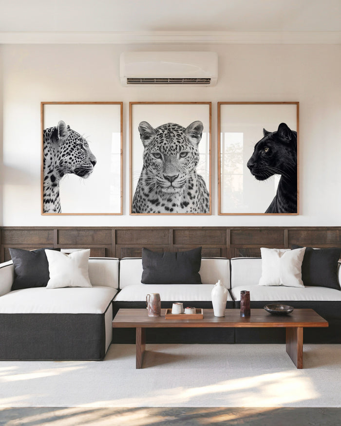 Black and White Leopard Gallery Wall