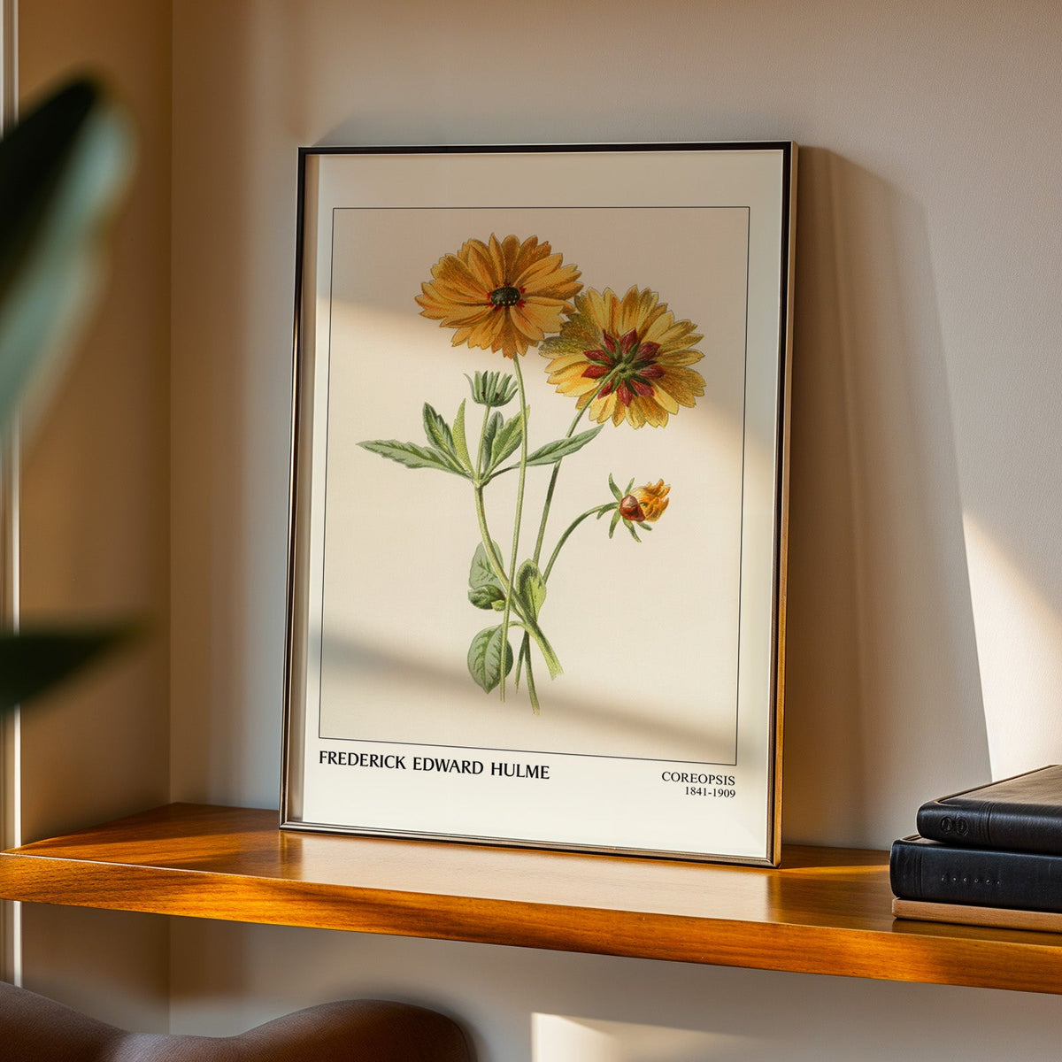 Botanical print in a black frame on a walnut shelf in warm evening light
