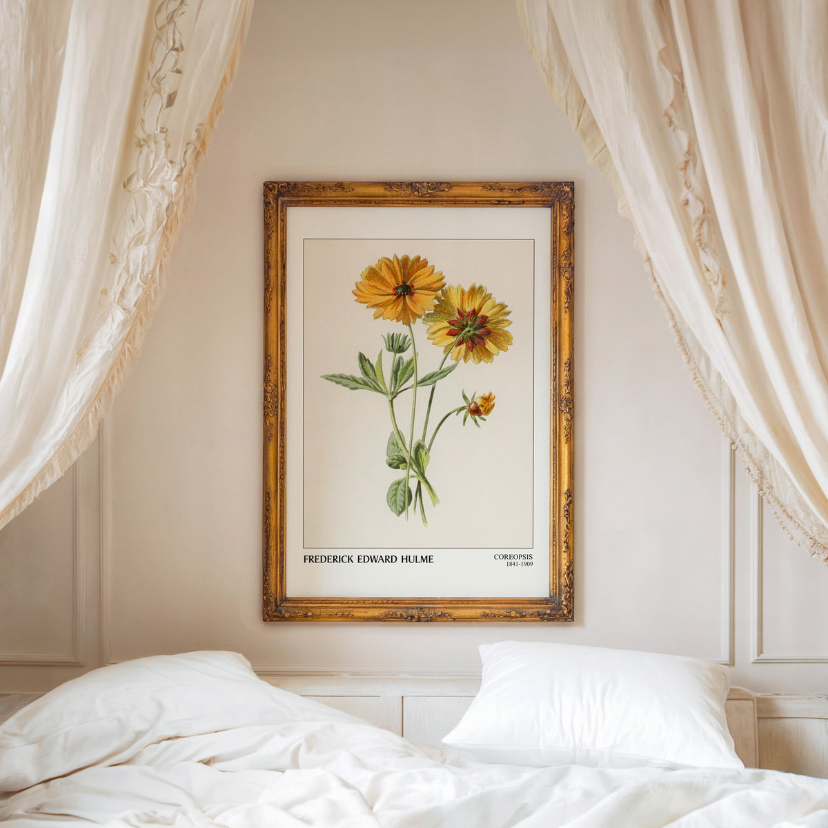 Coreopsis botanical print shown in a gold frame above a canopy bed